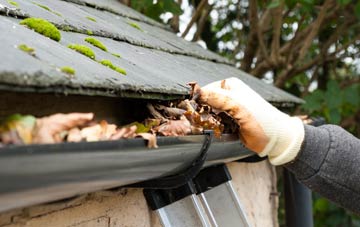 gutter cleaning Logan, East Ayrshire