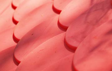 Logan plastic roof costs