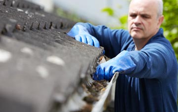 cleaning and inspecting Logan roofs