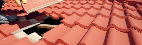 compare Logan roof repair quotes