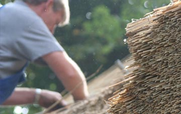 professional Logan thatchers